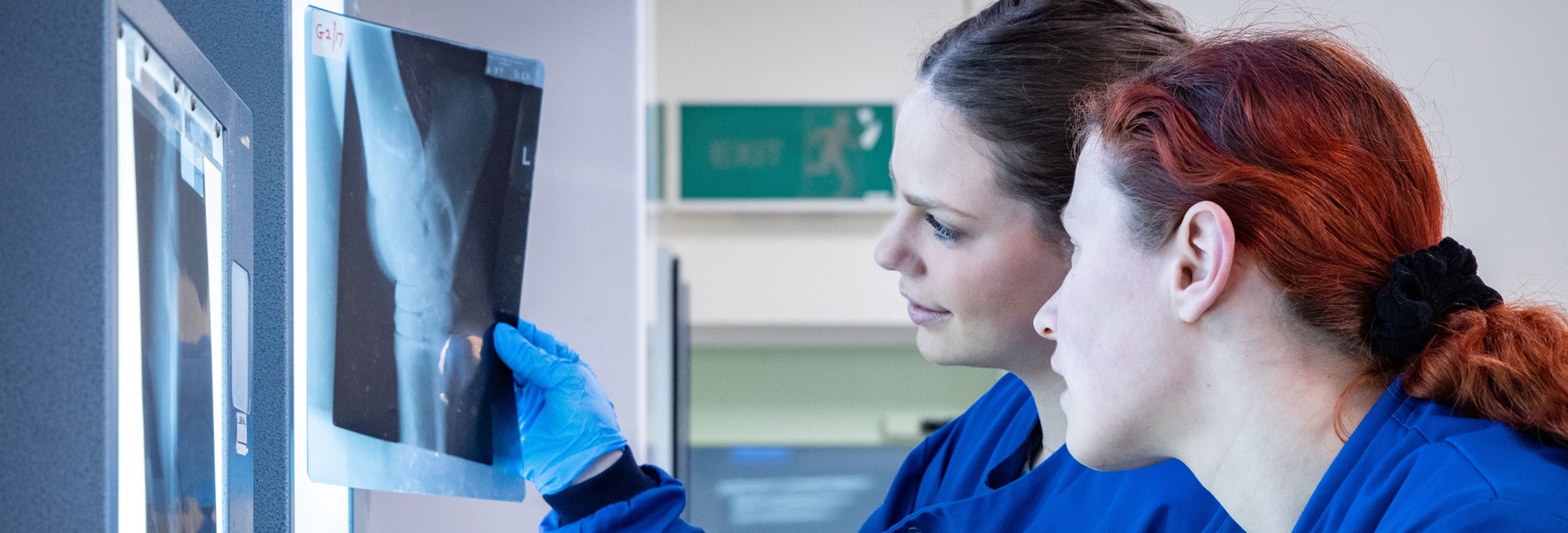 two students looking at x rays against a light box