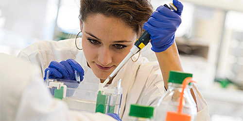 undergraduate student working in the lab using a pipette.