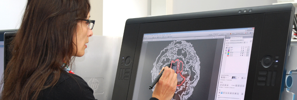 Palaeobiology researcher using screen stylus pen on an image